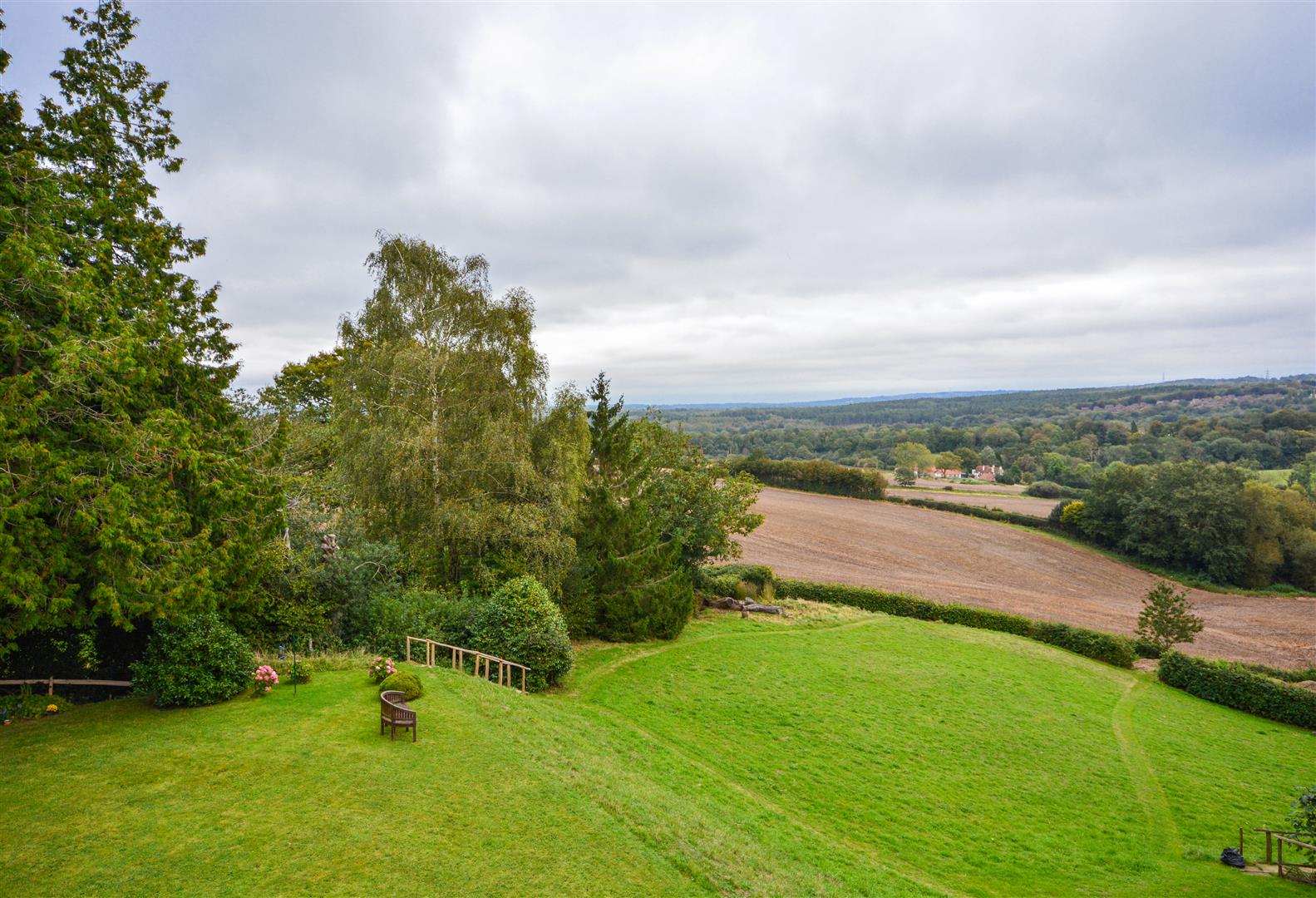 Caldbec Hill, Battle Rush, Witt & Wilson